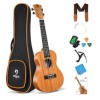 Ukulele Kit.png
