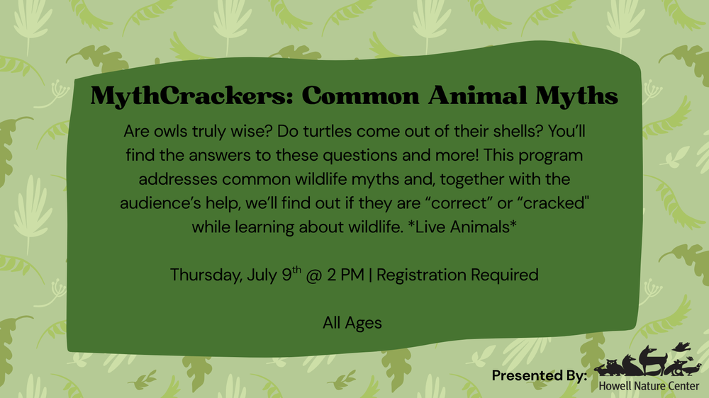 Are owls truly wise? Do turtles come out of their shells? You’ll find the answers to these questions and more! This program addresses common wildlife myths and, together with the audience’s help, we’ll find out if they are “correct” or “cracked" while learning about wildlife. *Live Animals*  Thursday, July 9th @ 2 PM | Registration Required  All Ages