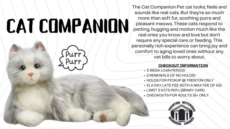 Cat Companion.jpg