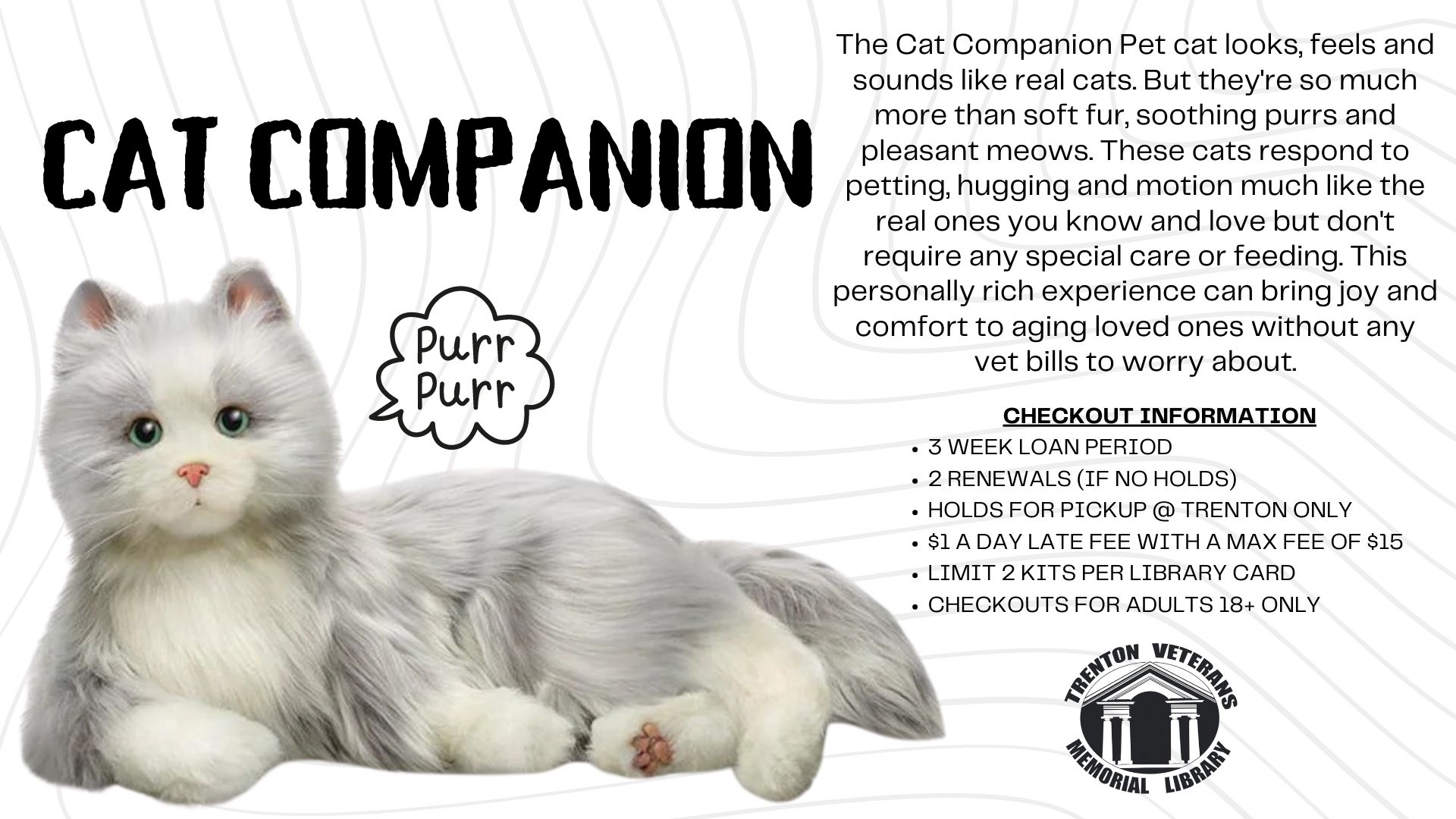 Cat Companion.jpg