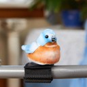 Walker Squawker Bluejay.jpg